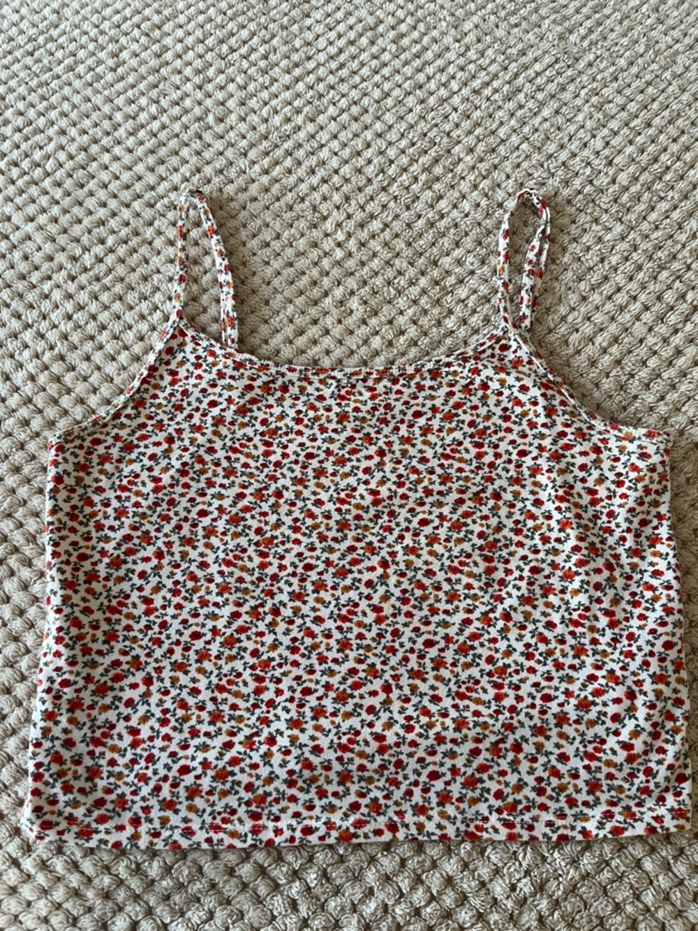 American Eagle Outfitters Cream Cami with Red Floral Print